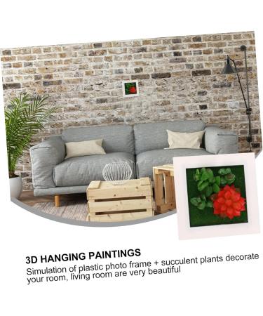 HOMSFOU 1pc Plant Photo Frame Plants Picture Frames Home Decor Succulent Plant Housewarming Gift Artificial Succulent Wall Art Plant Photo Frame Wall Household Plastic Red 15.5X15.5CM - Buy Online on GoSupps.com