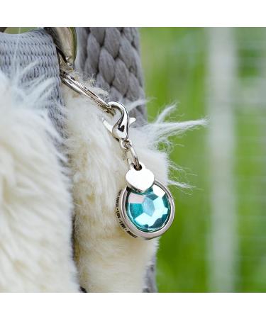 Buy Soulhorse Bridle Trenser & Lucky Charm Keychain for Horses - Turquoise Charm with Artificial Stone - Perfect for Trailer & Pony - Buy Online on GoSupps.com
