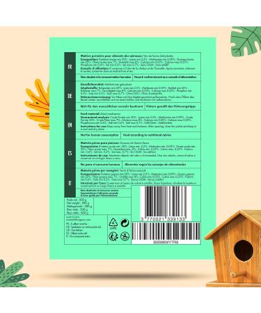Torgenn Mealworms 500g | Nutrient-Rich Food for Wild Birds Fish & Turtles | 100% Natural & GVO-Free | Dried Mealworms for Pets - Buy Online on GoSupps.com