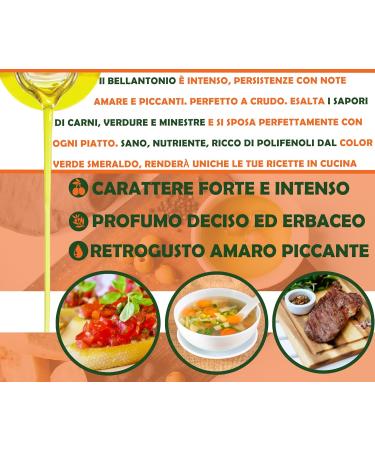 Oleificio Mallia - Extra Virgin Olive Oil 100% Italian - Can of 5 L - Fresh Harvest 2023/2024 Cold extracted - Buy Online on GoSupps.com