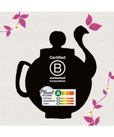 Organic blueberry and raspberry infusion 20 infusion bags - Buy Online on GoSupps.com