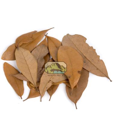 NewCal Live Oak Leaf Litter - 1.5oz