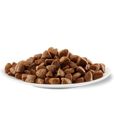 Applaws Natural Complete Adult Dry Dog Food for Small and Medium Breed Dogs Chicken 7.5 kg (Pack of 1) - Buy Online on GoSupps.com