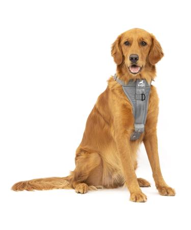Kurgo Tru-Fit Dog Harness Crash Tested Car Seat Belt For Dogs 2 to 5 kg Size XL Gray Gray XL