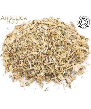 Organic Angelica Root Pure Herbal Infusion (25 Unbleached Tea Bags - 50g) - Buy Online on GoSupps.com
