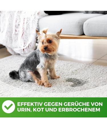 Buy Odor Remover Enzyme Cleaner 1000ml - Eliminate Cat Urine & Bad Smells for Cages Kennels & Toilets - Fast International Shipping - Buy Online on GoSupps.com
