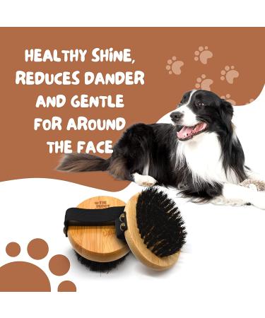 Bamboo Handheld Pet Brush with Soft Boar Bristles for Dogs and Cats - 1 Pack - Buy Online on GoSupps.com