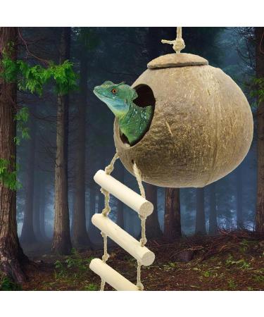 Aobuviou Gecko Coconut Husk Hut Coconut Bird Nest Reptile Coconut Hide with Ladder Natural Reptile Hideouts Bird Coconut Shell Coconut Hide for Reptiles Bird Small Animal - Buy Online on GoSupps.com