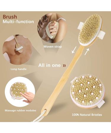 Dry Brushing Body Brush Set of 2, Natural Bristle Dry Skin Exfoliating  Brush, Long Handle Back Scrubber for Shower, Dry Brush for Cellulite and  Lymphatic Massage, Improve Blood Circulation 3 Count (Pack of 1)