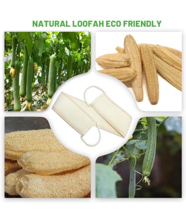 Back Scrubber for Shower - Natural Loofah Exfoliating Body Scrubber for Men & Women (2 Packs) | Perfect Shower Accessory - Buy Online on GoSupps.com