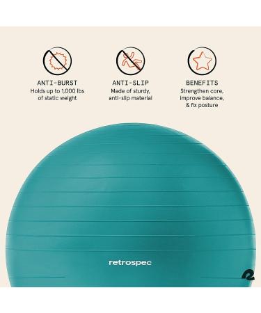 Retrospec Luna Exercise Ball Set | Anti-Burst 55cm Ball & Base with Pump | Rose - Buy Online on GoSupps.com