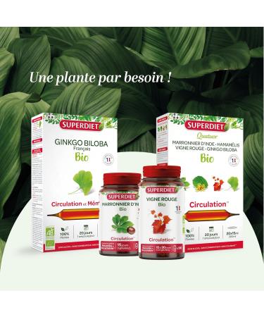 Super diet - Ginkgo biloba - tablets 80 - The ally of memory 100% organic - Buy Online on GoSupps.com