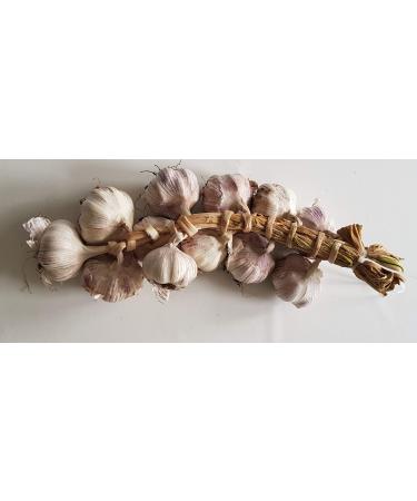 youdreamitaly Garlic Braid - Offer 3 Pieces