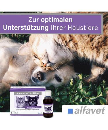 Alfavet Reconvales Antiphos - Kidney Support for Cats & Dogs | Nutritional Supplements with Phosphate Binders - 3 x 90ml Bottles - Buy Online on GoSupps.com