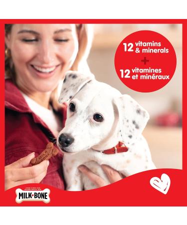 Milkbone Soft & Chewy Dog Treats Beef Steak Flavour 113 gram (Pack of 12) Beef 113 g (Pack of 12) - Buy Online on GoSupps.com