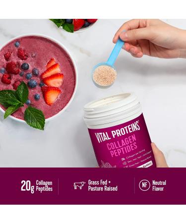 Vital Proteins Collagen Peptides Dark Chocolate Blackberry 10.8 oz - Boost Your Beauty & Wellness - Buy Online on GoSupps.com