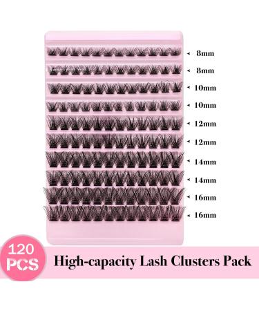 Lash Clusters 120Pcs DIY Individual Eyelash Extensions Natural Look D Curl 8-16MM - Charming - Buy Online on GoSupps.com