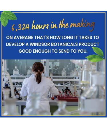 Blood Pressure Support Supplement - Green Tea Hibiscus Hawthorn Garlic - Blood Pressure Vitamin Mineral and Activated Naturals - 3 Month Supply 90 Capsules - Buy Online on GoSupps.com