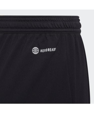 Shop Adidas Boys Football Shorts - Entrada 22 Shorts 164 Black | International Shipping Available - Buy Online on GoSupps.com