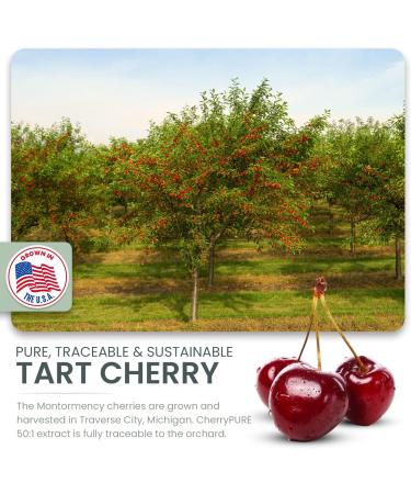 Buy German Micronized Creatine with USA Tart Cherry & Vitamin B6 - Caffeine-Free Pre/Post Workout Supplement for Men & Women | Tart Cherry Lime Flavor - Buy Online on GoSupps.com