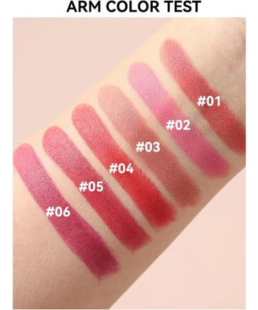  Erinde Erinde Waterproof Matte Lipstick - Nude Long-Lasting 24 Hours Highly Pigmented Permanent Moisturizing Lipstick - Buy Online on GoSupps.com