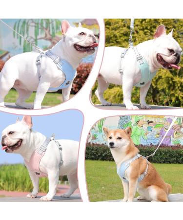 Shop No-Pull Dog Harness for Small Dogs | Reflective Soft Safety Harness & Leash - Pink M - Buy Online on GoSupps.com