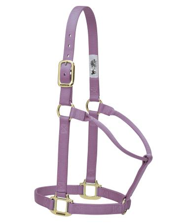 WEAVER Leather Non-adjustable halter lavender Small Horse