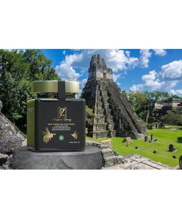 Miel de Melipona Mexicain 300g Miel Rare d Abeilles Sans Dard 100% Pur et Brut R colte Artisanale - Buy Online on GoSupps.com