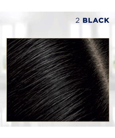 Clairol Root Touch-Up Nice'n Easy Permanent Hair Dye - 2 Black Pack of 2 - Buy Online on GoSupps.com