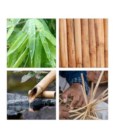Relaxdays Bamboo Toothbrushes 24 Pack - Medium Bristle Vegan Sustainable & BPA-Free - Eco-Friendly Black Hand Toothbrushes - Buy Online on GoSupps.com