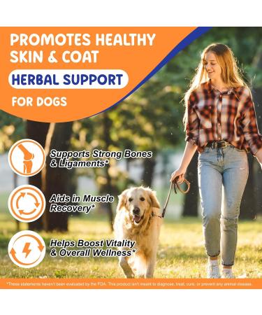 Premium Grass-Fed Liquid Collagen for Dogs - Skin and Coat Support Supplement with Biotin Vitamin C and Hyaluronic Acid - Buy Online on GoSupps.com