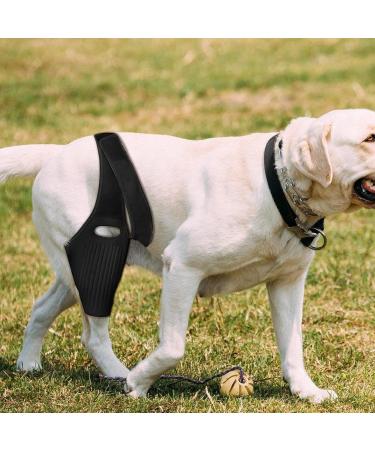 Dog Knee Brace | with 10 Support Sticks Breathable Hip Support for Dogs | Comfortable Hip and Leg Protector Breathable for Small Senior and Disabled Dogs - Buy Online on GoSupps.com