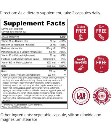 UpNourish Methylated B Complex Vitamins for Women and Men 240 Veggies Capsules - Active Pure B Complex with Organic Fruits Vegetables B1 Thiamine B2 Riboflavin B3 Niacin Folate Methylcobalamin - Buy Online on GoSupps.com