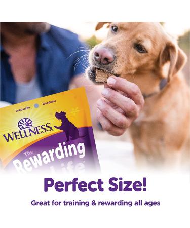 Wellness Soft & Chewy Dog Treats - Beef & Turkey Flavor | Healthy Rewards - Buy Online on GoSupps.com