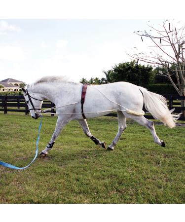 Pessoa Lunging System Horse