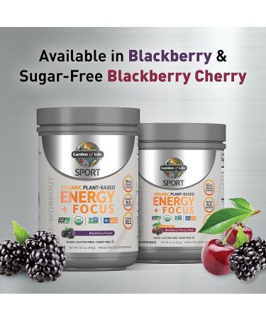 Garden of Life Sport Organic Vegan Pre Workout - Blackberry Cherry - 40 Servings | Plant-Based Energy & Focus - Buy Online on GoSupps.com