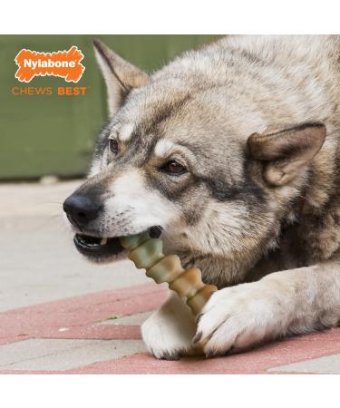 Nylabone Extreme Power Chew Gator Tail Alternative Dog Chew Toy Chicken Flavour - Large/Giant (Up to 23kg) - Buy Online on GoSupps.com