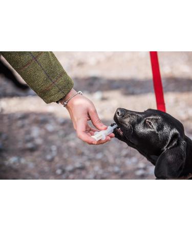 Mikki 6221101 Tablet Porters - Durable & Stylish International Shipping Available - Buy Online on GoSupps.com