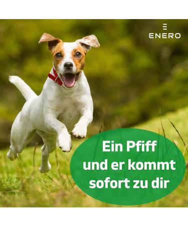 Enero Dog Whistle - Reliable High-Frequency Dog Training Tool with Practical Converter - Buy Online on GoSupps.com