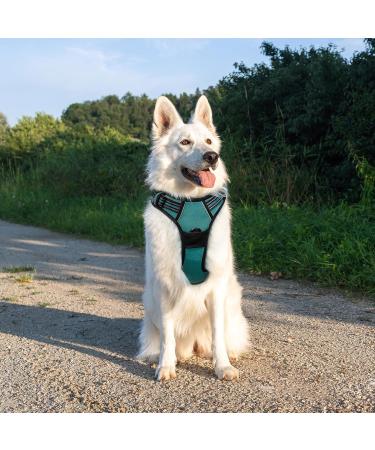 Eagloo Large Dog Harness - Adjustable Anti-Train Control Harness with Reflex Strips for Labs & Large Dogs - Dark Green - XL (1 Pack) - Buy Online on GoSupps.com