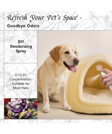 HIQILI 30ML Rose Essential Oil & 150ML Water Lily Papyrus Fragrance Oil for DIY Diffuser - Buy Online on GoSupps.com