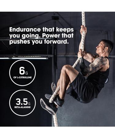 Optimum Nutrition Amped Pre-Workout with Citrulline Beta-Alanine Nootropics and 300mg of Caffeine for Energy Citrus Mango 20 Servings (Packaging May Vary) Citrus Mango 20 Servings (Pack of 1) - Buy Online on GoSupps.com