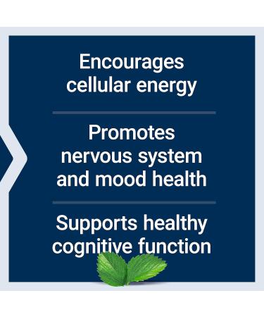 Acetyl L-Carnitine 500mg by Life Extension - 100 VCaps for Enhanced Energy & Metabolism - Buy Online on GoSupps.com