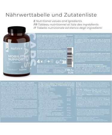 Glucosamine + Chondroitin High-Dose Vegan Mobility Support with MSM Hyaluronic Acid Zinc & Vitamin C - 120 Capsules | Raw Materials Glucosagreen & Phytroitin - Buy Online on GoSupps.com