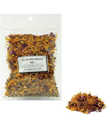 No Furries Delights Forage Mix 100% All Natural Botanical Herb Treat for Rabbit Hamster Guinea Pig Chinchilla Chicken Hermit Crab Gerbil Degu & Other Small Animals (All in One Forage Mix 30g) All in One Forage Mix 30 g (Pack of 1) - Buy Online on GoSupps.com