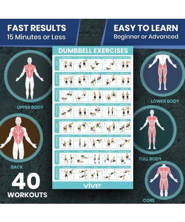 Vive Dumbbell Workout Poster - Home Gym Exercise Chart for Full Body - Laminated Bodyweight Guide for Strength Training - 30 x 17 - Perfect for Men, Women, Elderly - Buy Online on GoSupps.com
