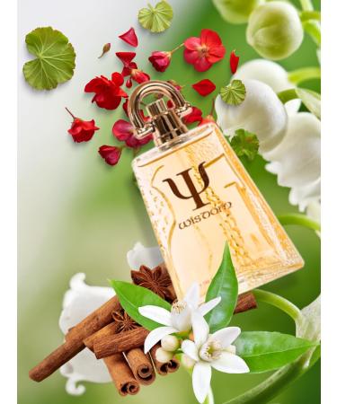 WISDOM POUR HOMME EAU DE PARFUM 3.4 FL.Oz. Amber Woody fragrance for Men's. - Buy Online on GoSupps.com