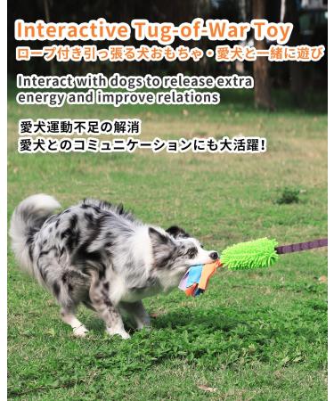 Schitec Dog Toys - 2 Pack Interactive Training Rope & Squeaky Dashy Toys for Puppies & Dogs | Chenille Handles for All Sizes - Buy Online on GoSupps.com