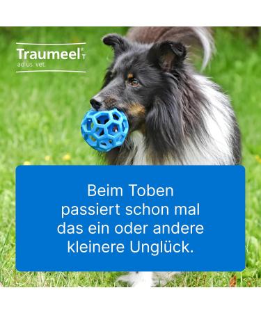 Buy Traumeel T AD US Vet Tablets 100 ST - Natural Pain Relief for Pets | Fast International Shipping - Buy Online on GoSupps.com