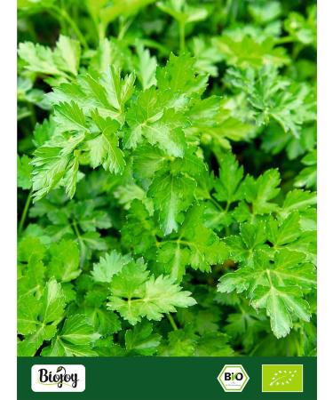 Biojoy ORGANIC Parsley (250 g) dried and rubbed without additives (Petroselinum crispum) - Buy Online on GoSupps.com